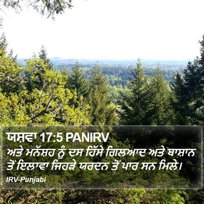 ਯਸ਼ਵਾ 17:5 PANIRV Bible Verse Image