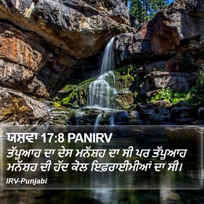 ਯਸ਼ਵਾ 17:8 PANIRV Bible Verse Image