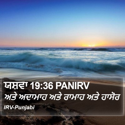 ਯਸ਼ਵਾ 19:36 PANIRV Bible Verse Image