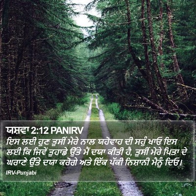 ਯਸ਼ਵਾ 2:12 PANIRV Bible Verse Image
