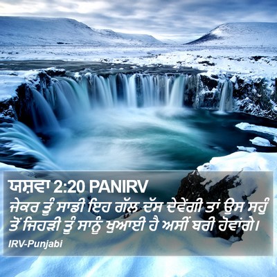 ਯਸ਼ਵਾ 2:20 PANIRV Bible Verse Image