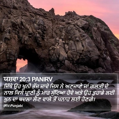 ਯਸ਼ਵਾ 20:3 PANIRV Bible Verse Image