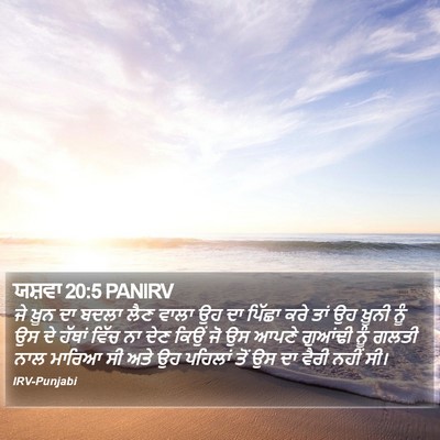 ਯਸ਼ਵਾ 20:5 PANIRV Bible Verse Image