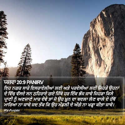 ਯਸ਼ਵਾ 20:9 PANIRV Bible Verse Image