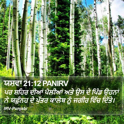 ਯਸ਼ਵਾ 21:12 PANIRV Bible Verse Image