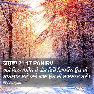 ਯਸ਼ਵਾ 21:17 PANIRV Bible Verse Image