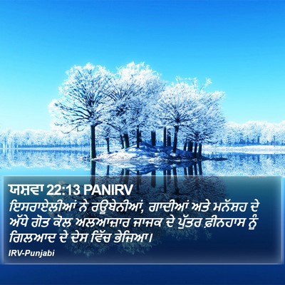 ਯਸ਼ਵਾ 22:13 PANIRV Bible Verse Image