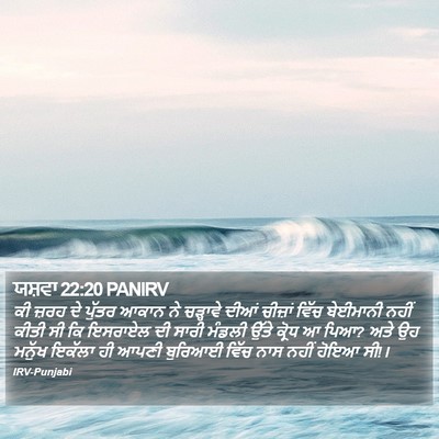 ਯਸ਼ਵਾ 22:20 PANIRV Bible Verse Image