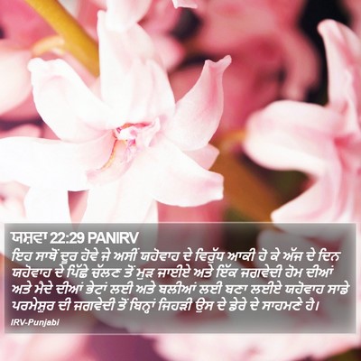 ਯਸ਼ਵਾ 22:29 PANIRV Bible Verse Image