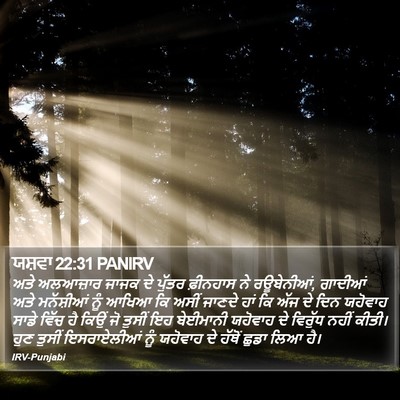ਯਸ਼ਵਾ 22:31 PANIRV Bible Verse Image