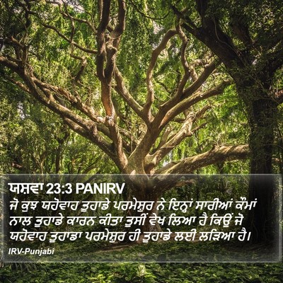 ਯਸ਼ਵਾ 23:3 PANIRV Bible Verse Image