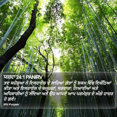 ਯਸ਼ਵਾ 24:1 PANIRV Bible Verse Image