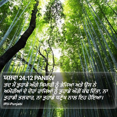 ਯਸ਼ਵਾ 24:12 PANIRV Bible Verse Image