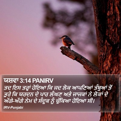 ਯਸ਼ਵਾ 3:14 PANIRV Bible Verse Image