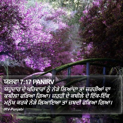 ਯਸ਼ਵਾ 7:17 PANIRV Bible Verse Image