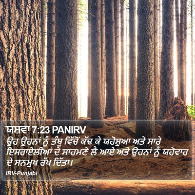ਯਸ਼ਵਾ 7:23 PANIRV Bible Verse Image