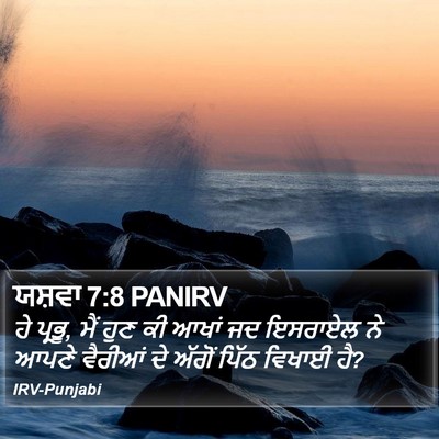 ਯਸ਼ਵਾ 7:8 PANIRV Bible Verse Image