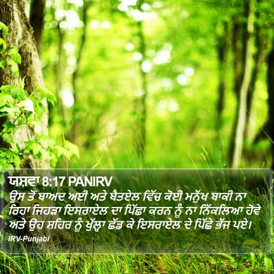 ਯਸ਼ਵਾ 8:17 PANIRV Bible Verse Image
