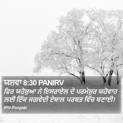 ਯਸ਼ਵਾ 8:30 PANIRV Bible Verse Image