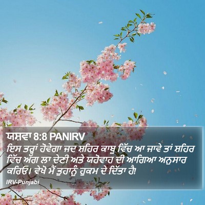 ਯਸ਼ਵਾ 8:8 PANIRV Bible Verse Image