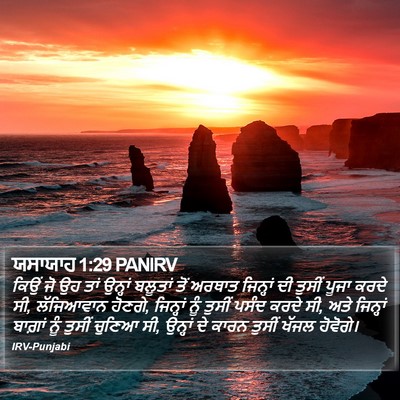 ਯਸਾਯਾਹ 1:29 PANIRV Bible Verse Image