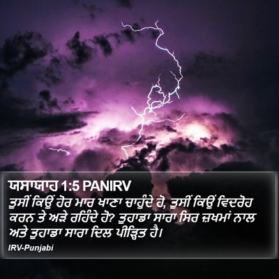 ਯਸਾਯਾਹ 1:5 PANIRV Bible Verse Image