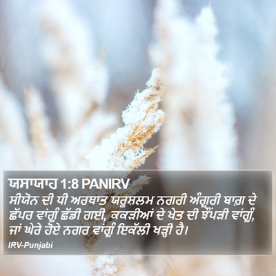 ਯਸਾਯਾਹ 1:8 PANIRV Bible Verse Image