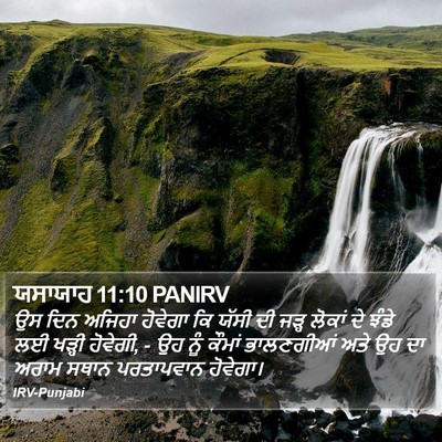 ਯਸਾਯਾਹ 11:10 PANIRV Bible Verse Image