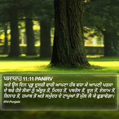 ਯਸਾਯਾਹ 11:11 PANIRV Bible Verse Image