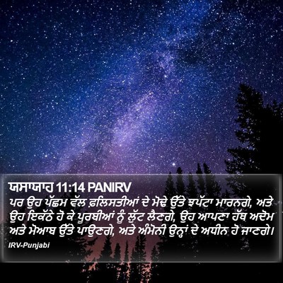 ਯਸਾਯਾਹ 11:14 PANIRV Bible Verse Image