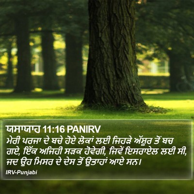 ਯਸਾਯਾਹ 11:16 PANIRV Bible Verse Image