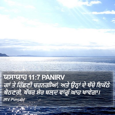 ਯਸਾਯਾਹ 11:7 PANIRV Bible Verse Image