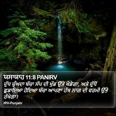 ਯਸਾਯਾਹ 11:8 PANIRV Bible Verse Image