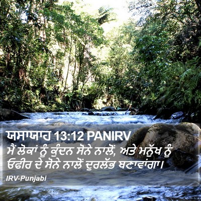 ਯਸਾਯਾਹ 13:12 PANIRV Bible Verse Image