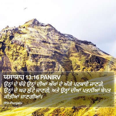 ਯਸਾਯਾਹ 13:16 PANIRV Bible Verse Image