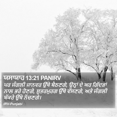 ਯਸਾਯਾਹ 13:21 PANIRV Bible Verse Image