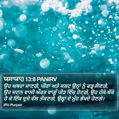 ਯਸਾਯਾਹ 13:8 PANIRV Bible Verse Image