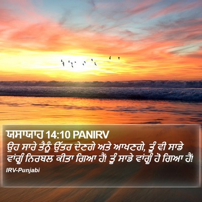 ਯਸਾਯਾਹ 14:10 PANIRV Bible Verse Image
