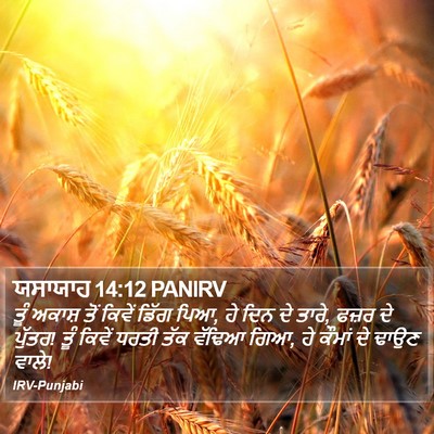 ਯਸਾਯਾਹ 14:12 PANIRV Bible Verse Image