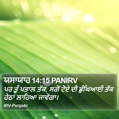 ਯਸਾਯਾਹ 14:15 PANIRV Bible Verse Image