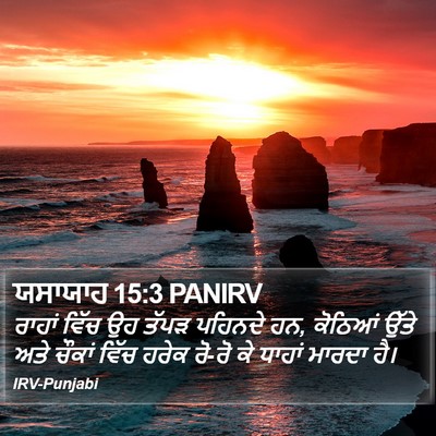 ਯਸਾਯਾਹ 15:3 PANIRV Bible Verse Image