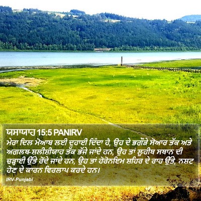 ਯਸਾਯਾਹ 15:5 PANIRV Bible Verse Image