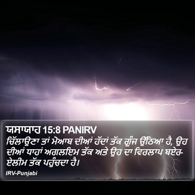 ਯਸਾਯਾਹ 15:8 PANIRV Bible Verse Image