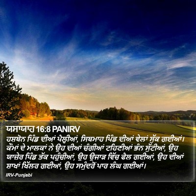 ਯਸਾਯਾਹ 16:8 PANIRV Bible Verse Image