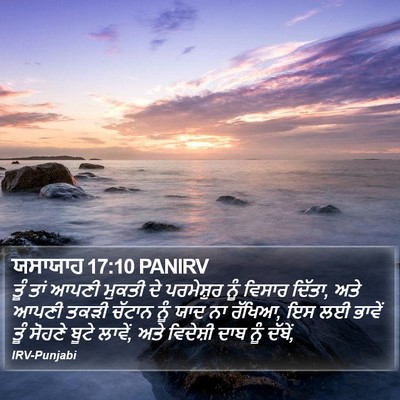 ਯਸਾਯਾਹ 17:10 PANIRV Bible Verse Image