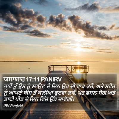 ਯਸਾਯਾਹ 17:11 PANIRV Bible Verse Image