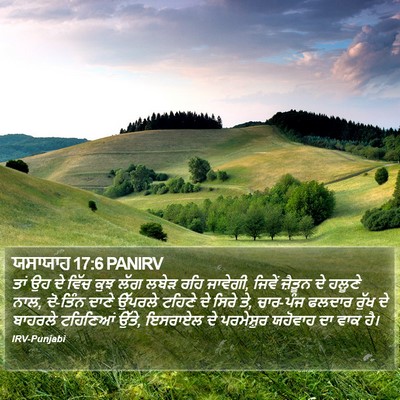 ਯਸਾਯਾਹ 17:6 PANIRV Bible Verse Image