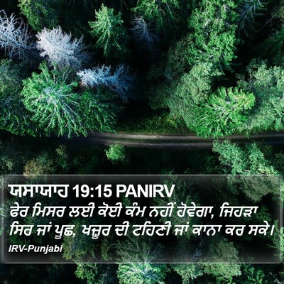 ਯਸਾਯਾਹ 19:15 PANIRV Bible Verse Image