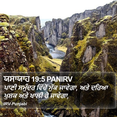 ਯਸਾਯਾਹ 19:5 PANIRV Bible Verse Image