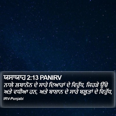 ਯਸਾਯਾਹ 2:13 PANIRV Bible Verse Image